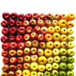 colorful-food-arrangement-photography-foodgradients-brittany-wright-16-605x605